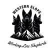 Western Slope Working Line Shepherds 