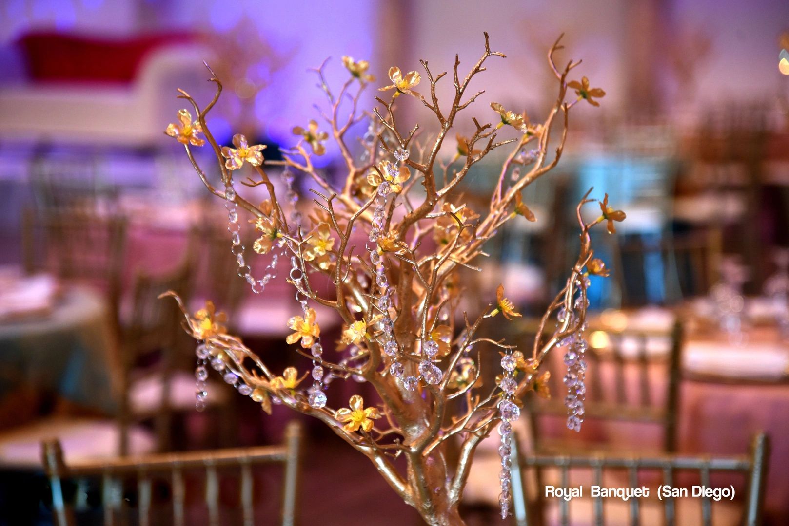 Indian decorations at Royal Banquet