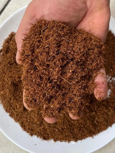 Hand holding loose brown shredded tobacco over a white plate.