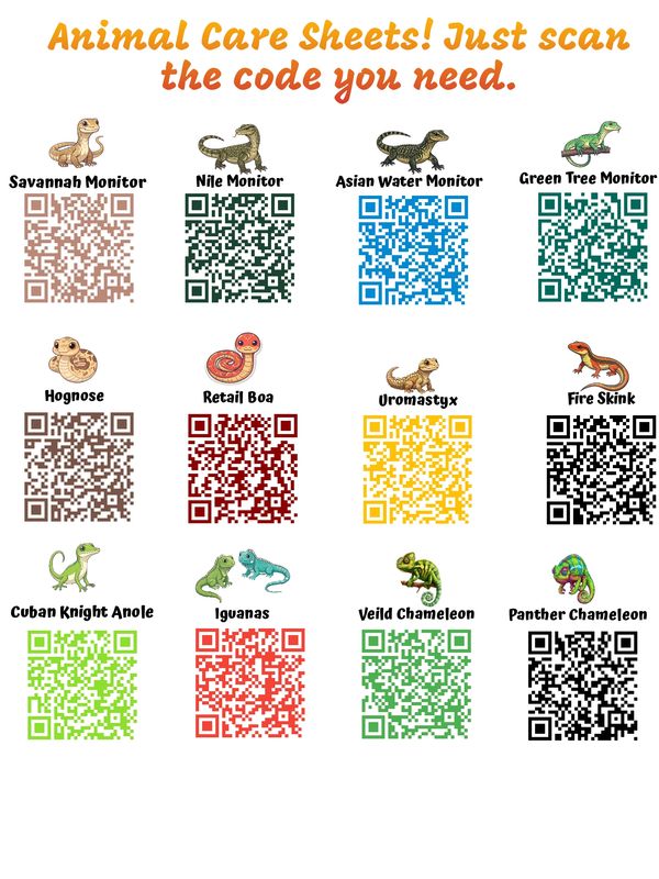 QR codes for animal care sheets of various reptile species with colorful illustrations.