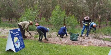 Friends of Perry Lakes Volunteers at work