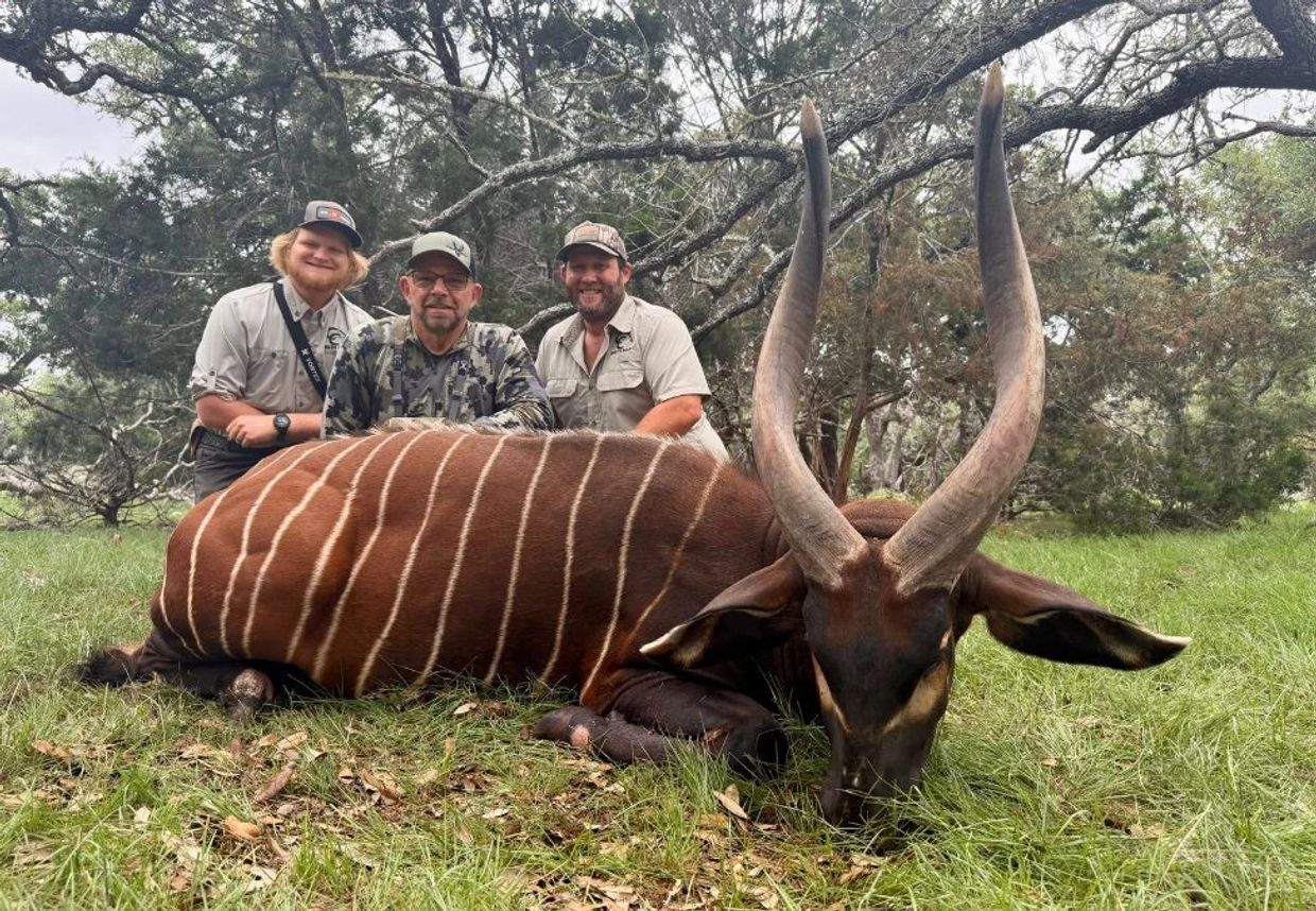 Three men posing behind a large antelope with long, curved horns in a forested area.