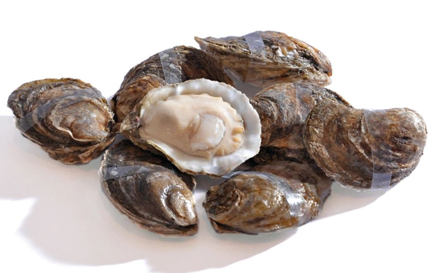 Crystal Seas Oysters