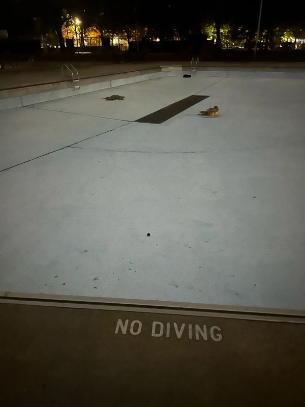 Empty swimming pool at night with 'NO DIVING' sign.