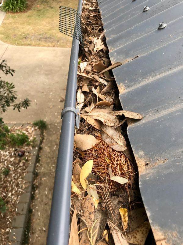 Gutters that need cleaning