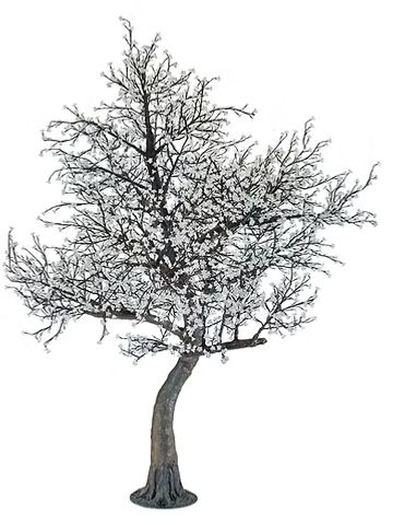 Bare tree with snow on branches against white background.