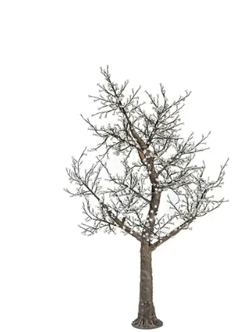 Bare tree with no leaves.