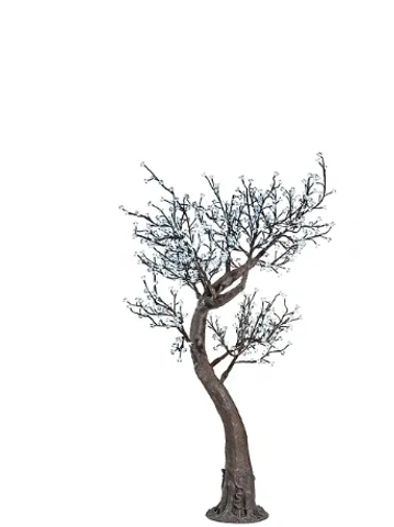 A bare, leafless tree with a curved trunk.