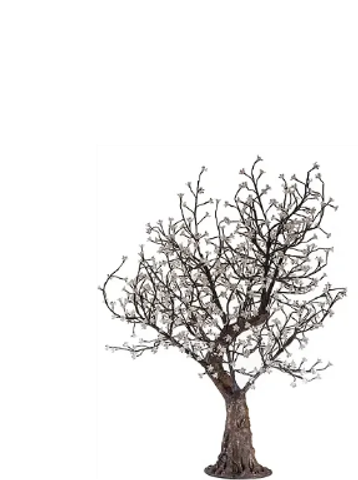 Leafless tree with thick trunk and many branches.