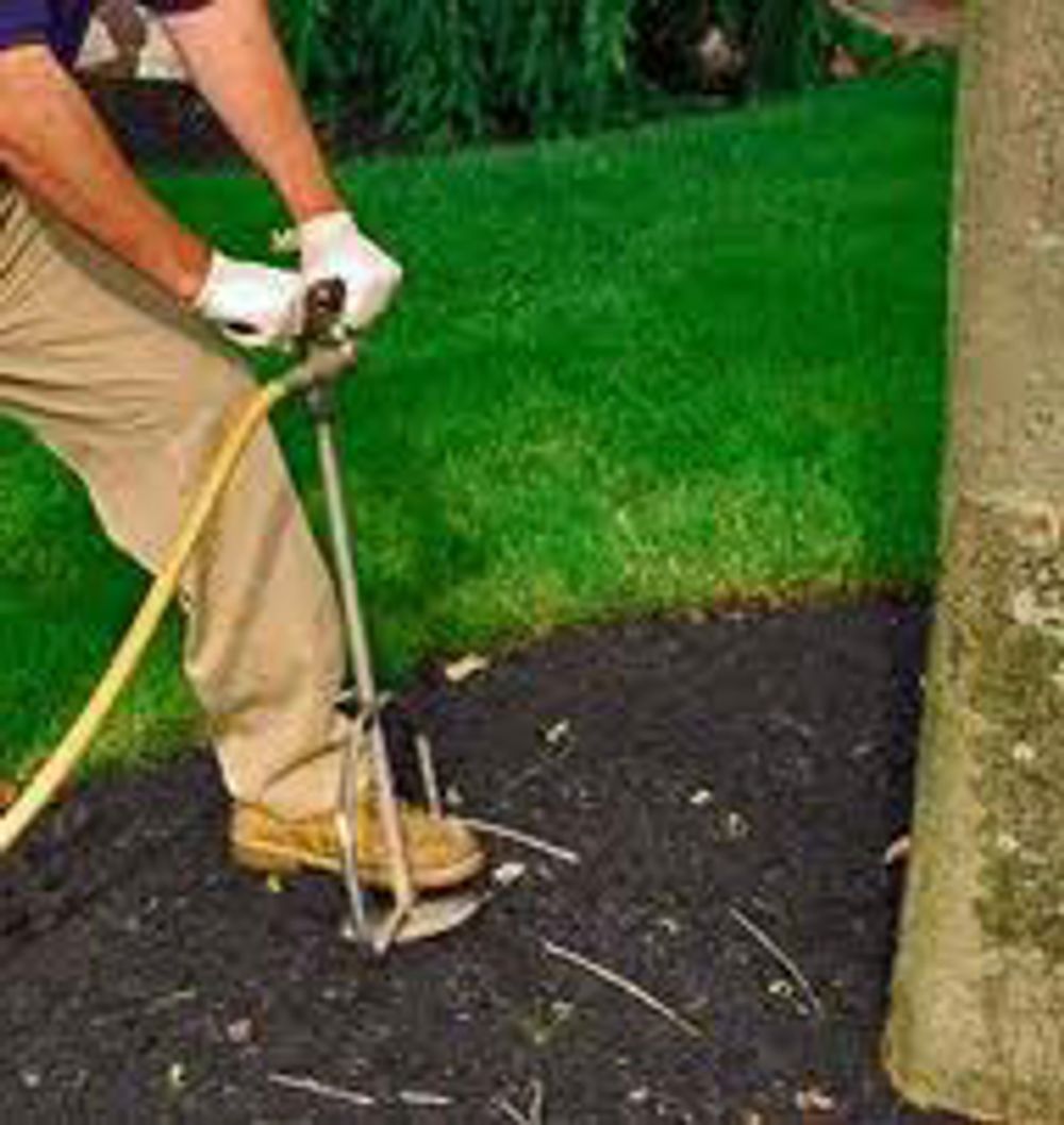 Deep-root fertilization being applied around the base of a shrub bed