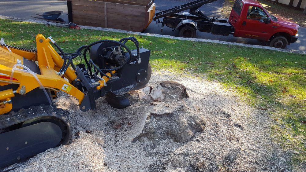 A ground-out stump backfilled level with the surrounding lawn