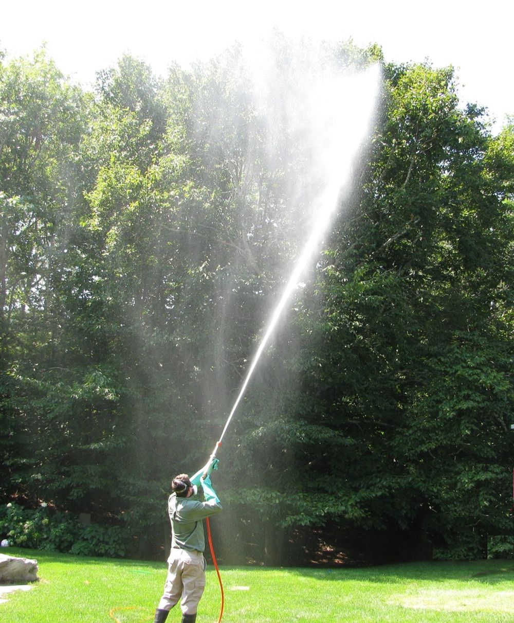 Targeted spray treatment applied to a tree under an IPM program
