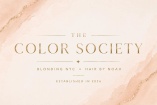 Color Society NYC