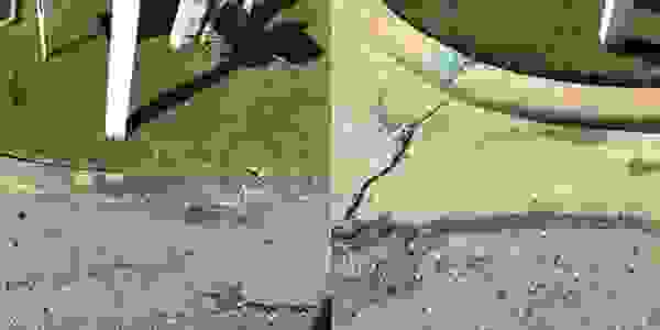 image45