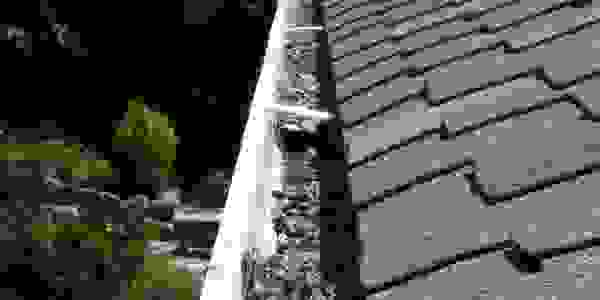 image46