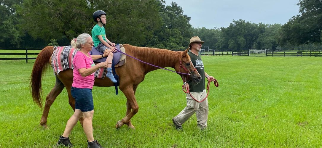 Horses Helping People
