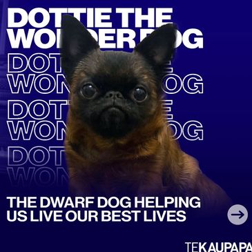 dwarf dog