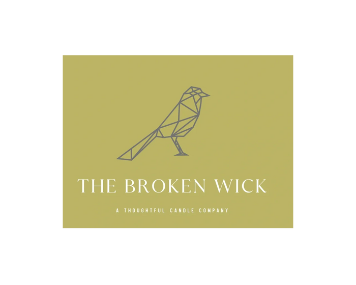 Minimalist logo with geometric bird and company name on olive background.
