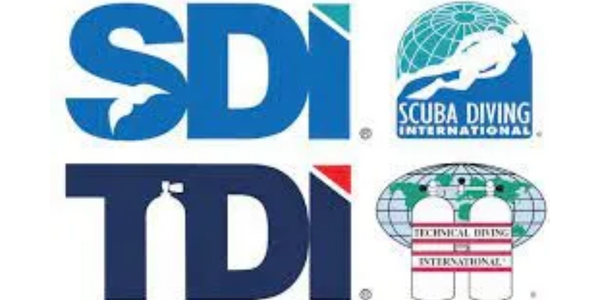 SDI/TDI
