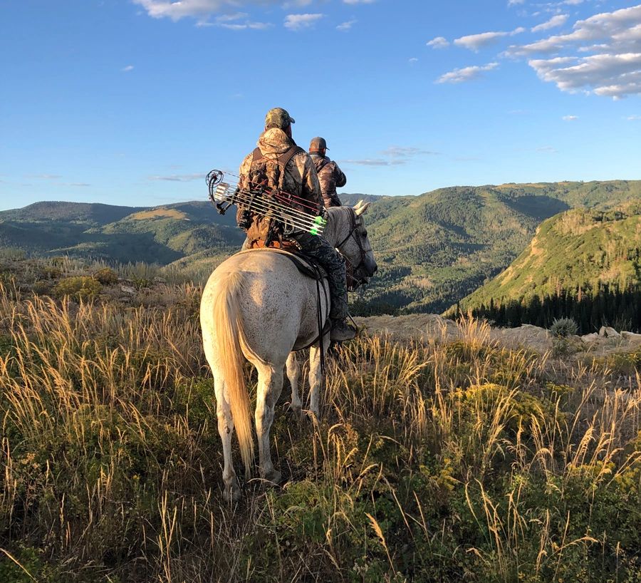 Superior Guide Service Elk Hunting Craig, Colorado