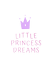 Little Princess Dreams