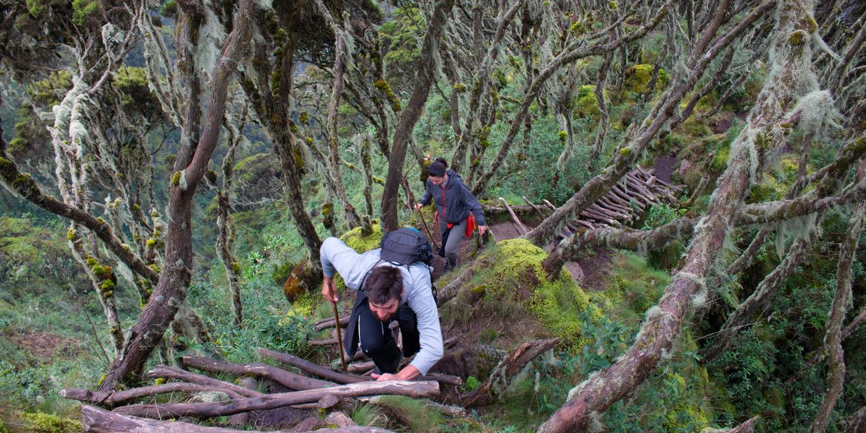 Ladders on the steep sections of Mount Sabinyo