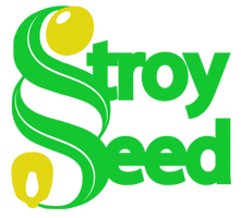 Stroy Seed