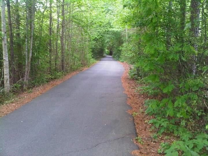 Cart path through the forest in Peachtree City, GA.