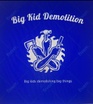 Big Kid Demolition 

Big Kids Demolishing Big Things