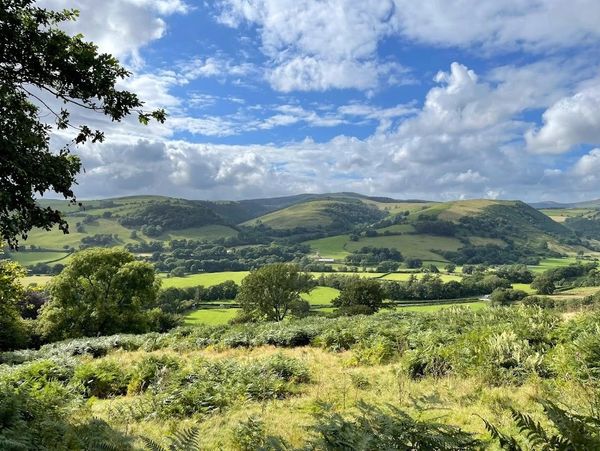 Mountain and country walks at Family Holiday Cottages mid wales