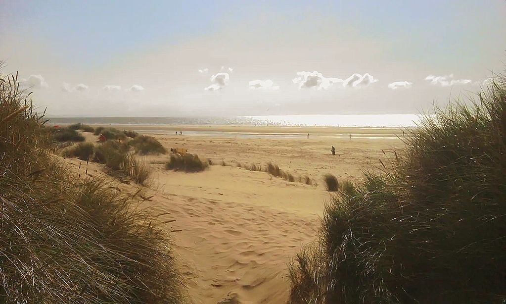 Sand dunes at Borth