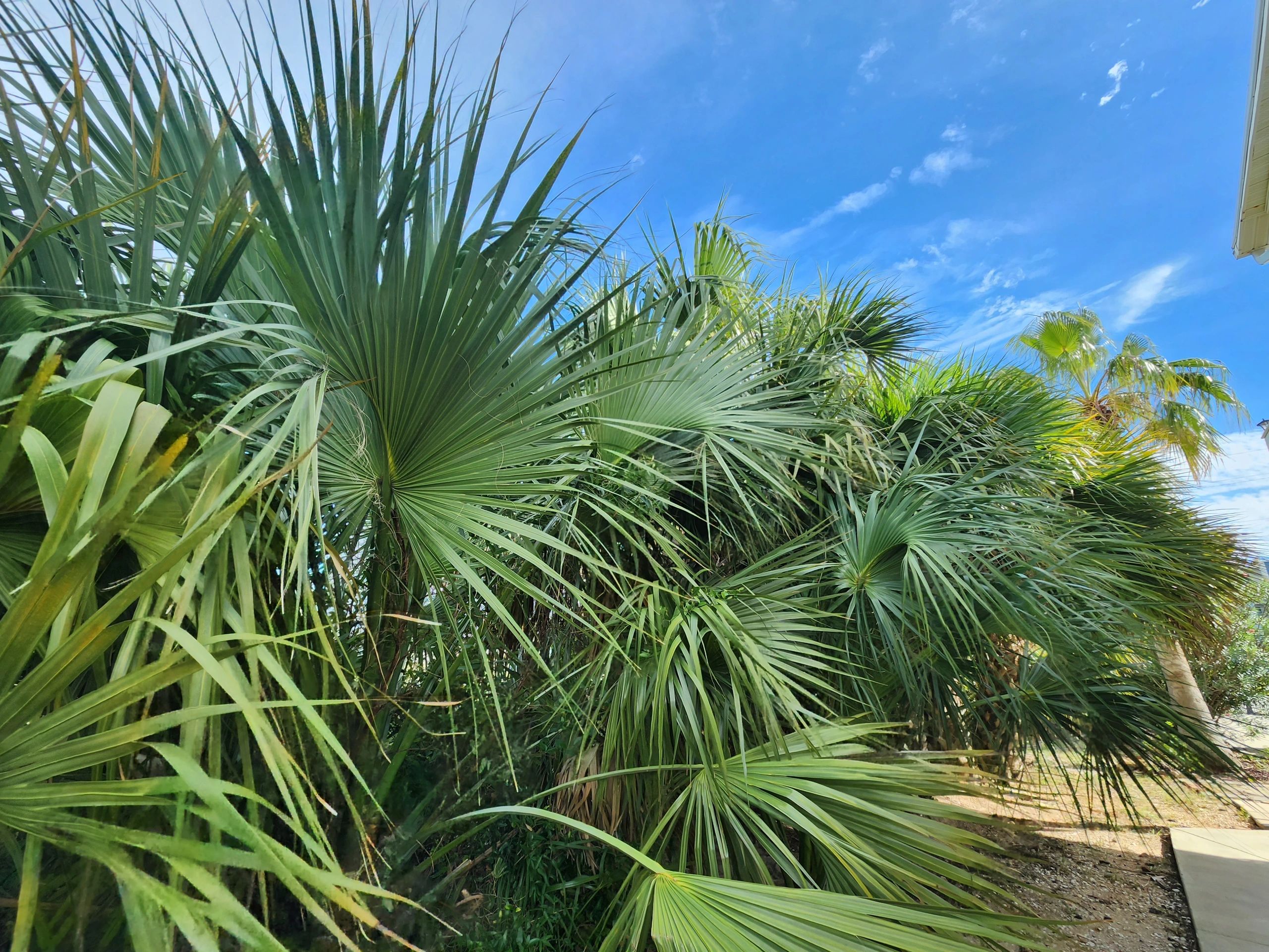 Alabama Coastal Home Guide Home