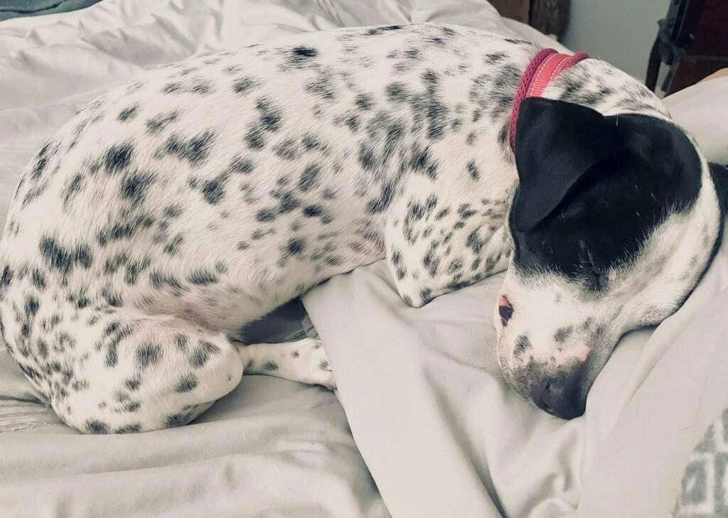 Harper Update