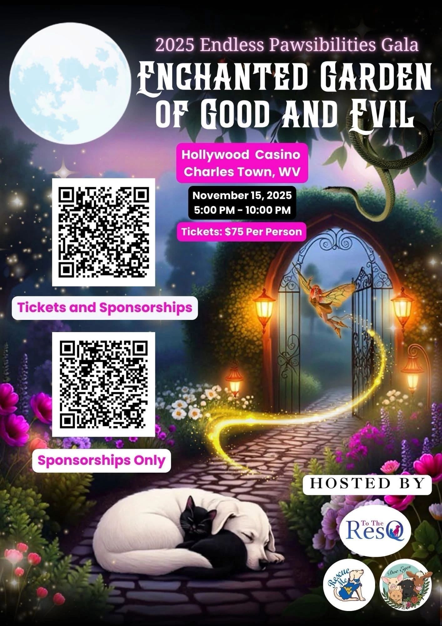 THE MAGIC IS CALLING…