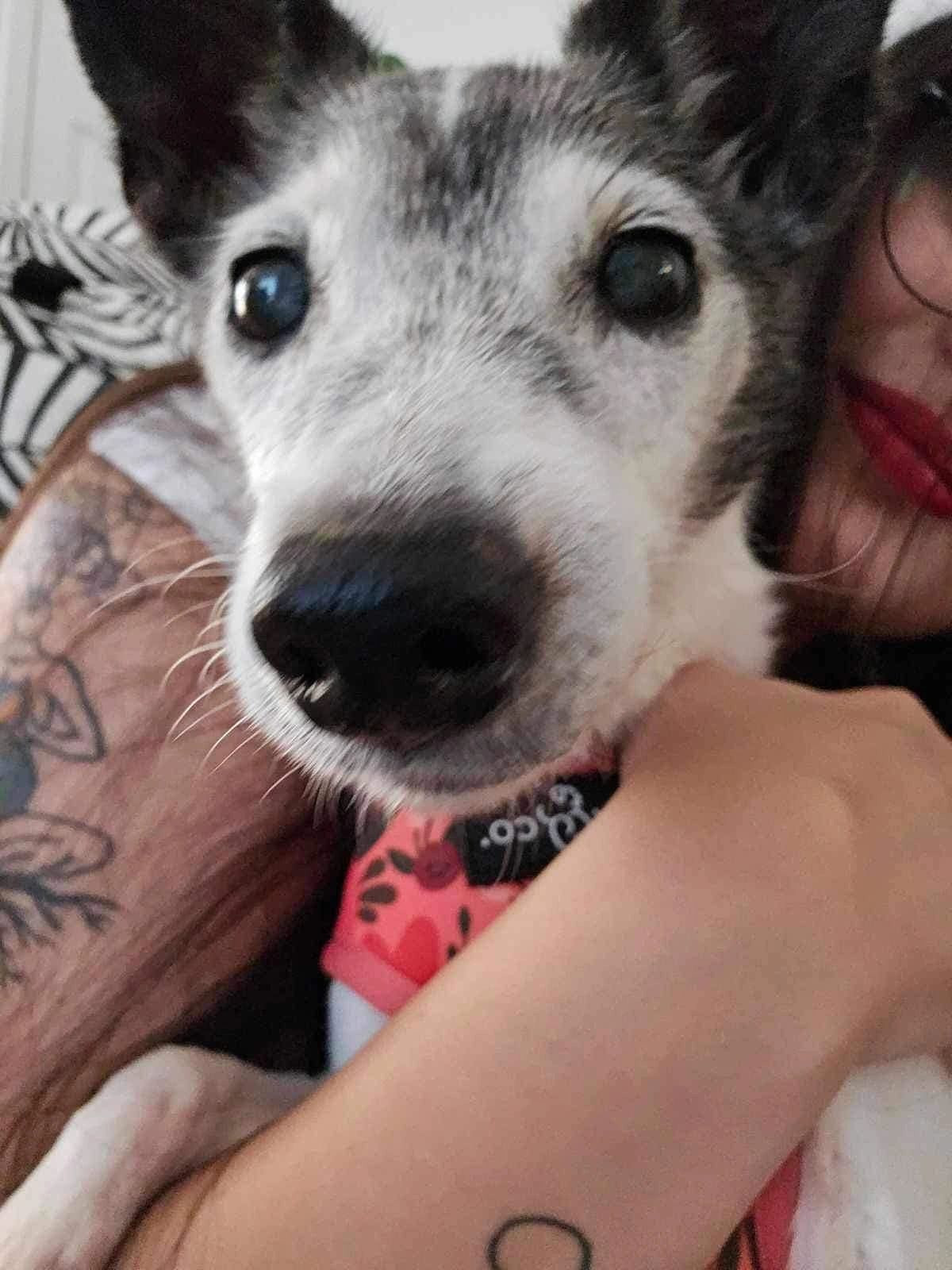 Meet Jojo