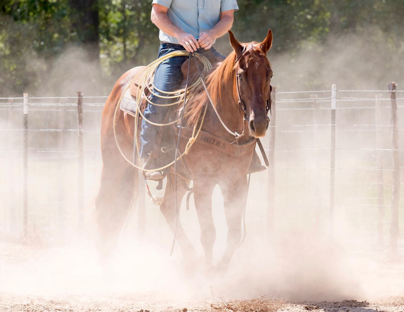 A person rides a horse in a dusty outdoor setting with a rope coiled on the saddle.