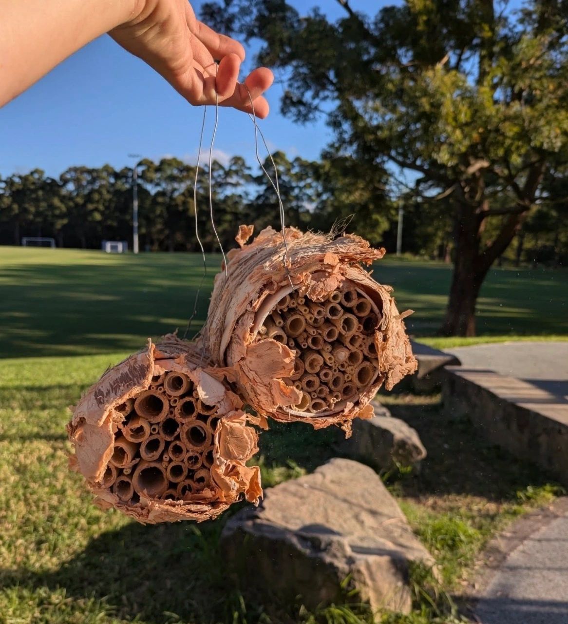 What are the best materials for building a bee hotel?