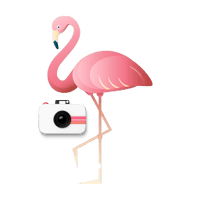 Travel With Supper Photography