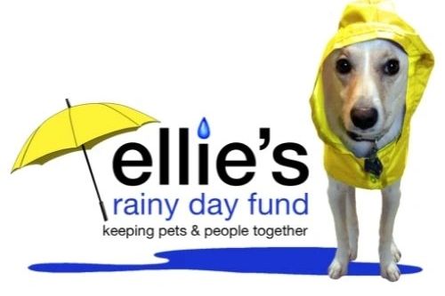 Ellie's Rainy Day Fund is the community outreach partner for Dayton based (DE-FI) Global INC.