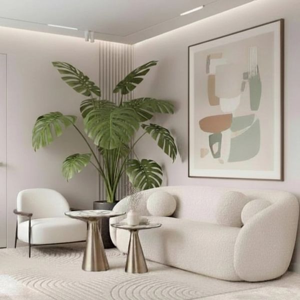 Cozy modern living room with curved sofa, armchair, and large green plant.