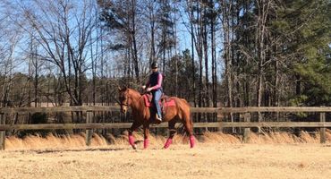 Schooling a horse in Western Dressage