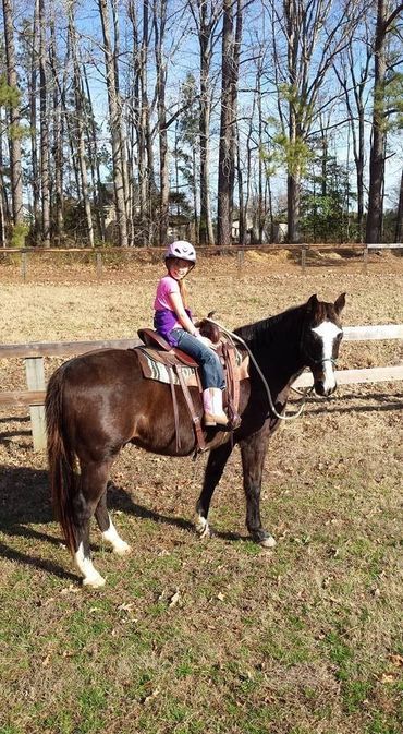 Young child on a lesson horse