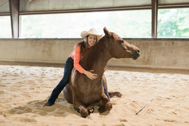 Horse laying down at Liberty