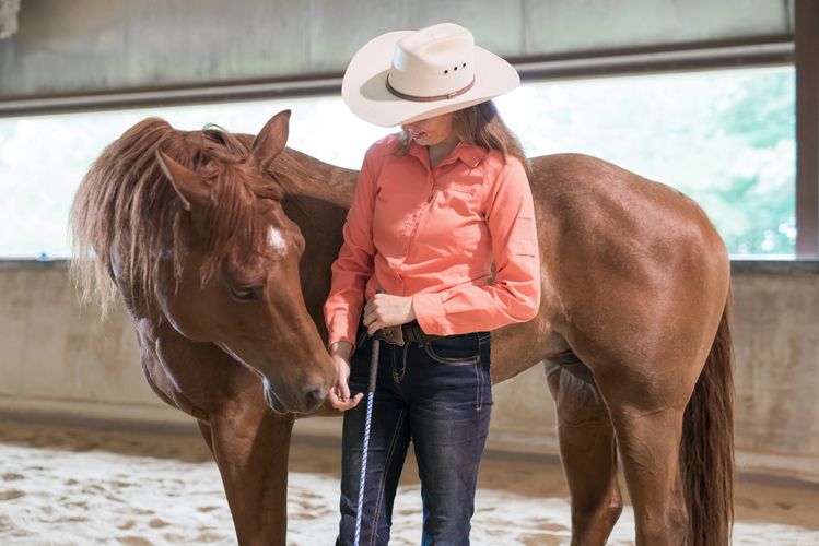 Horsemanship Lessons Hoofbeats in Harmony