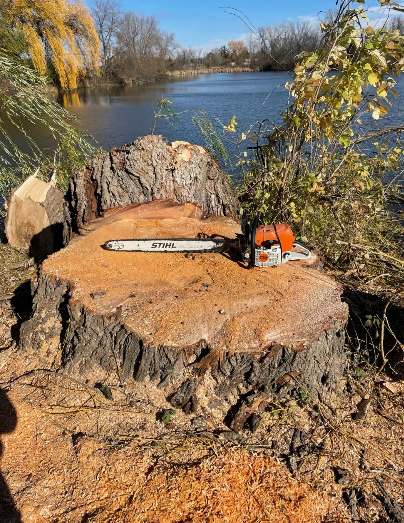 Husky Tree & Stump Removal - Tree Removal, Tree Trimming, Stump ...