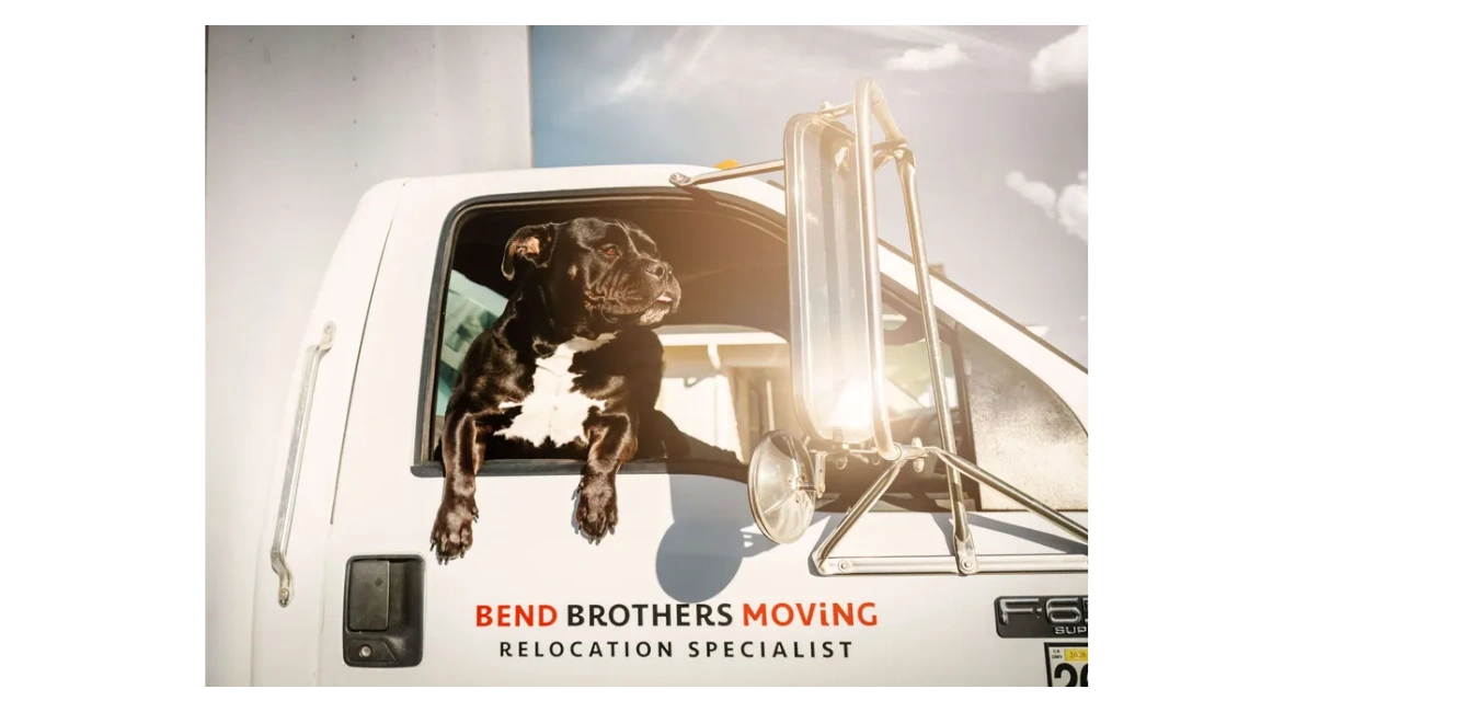 Cute Black Dog hanging out of a Best Bend Oregon Mover Bend Brothers Moving Truck Local Movers 