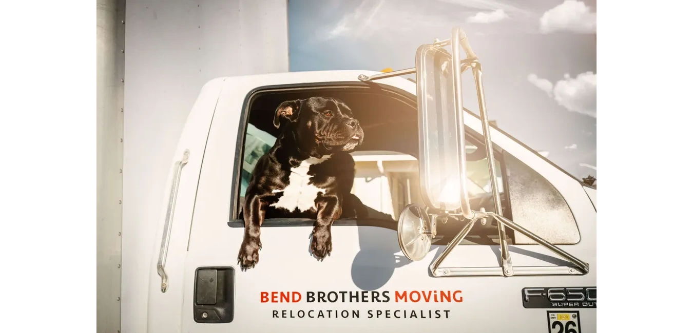 Adorable Black Dog riding passenger Bend Brothers Moving Truck Moving Company Bend Central Oregon