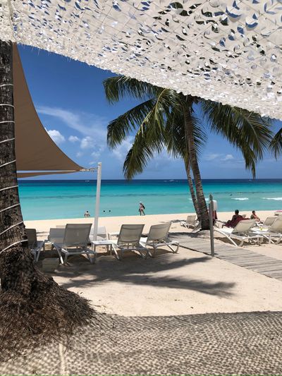 Saona Island , just a beautiful day by the Caribbean Sea, have a typical Dominican Lunch at the Isla