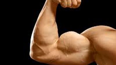 muscular bicep flexing.