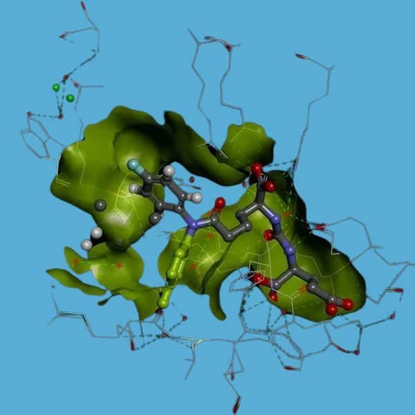 An imaginary image of a molecule based on SMDC technology and PSMA ligand